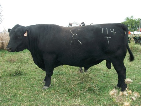 714T